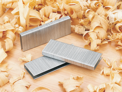 GS16 Staples