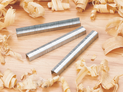 STCR5019 Staples